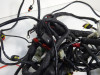 Wire Harness Aprilia Dorsoduro 750