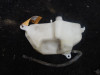 Radiator reserve tank  Kawasaki VERSYS 650
