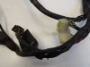 Wire Harness Kawasaki ZX 10 R