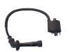 Bobine Suzuki DL 1000 V STROM
