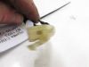 Wire harness front Honda CBR 600 F