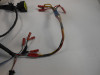 Wire Harness Kawasaki Z 1000