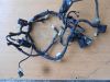 Wire Harness Yamaha FAZER 600