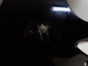 Cowl Left Honda CBR 600 FS Sport