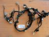 Wire Harness Honda CBR 600 F