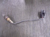 Oxygen sensor Ducati Diavel 1260