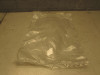 Wind screen Yamaha Tracer 700