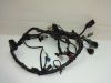 Wire Harness Honda CBF 500