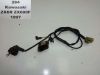 Pickup coil Kawasaki ZX 6 R