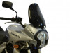 Scheibe Windschild Kawasaki VERSYS 650