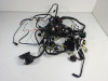 Wire Harness Aprilia Dorsoduro 750