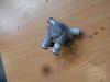 Thermostat Honda TRANSALP