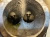 Cylinder head Honda VTR 1000 F
