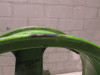 Rear wheel Kawasaki ZX 9 R