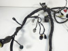 Wire Harness Kawasaki ER 6