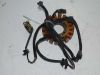 Dynamo Kawasaki ZZR 250