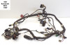 Wire Harness Kawasaki ER 5