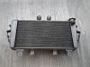 Radiateur Triumph Tiger 1050