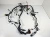 Wire Harness Kawasaki ER 6