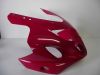 Frontverkleidung kanzel Suzuki GSX R 750