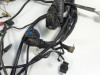 Wire Harness Ducati Monster 695