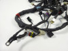 Wire Harness Ducati monster 796