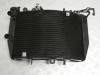 Radiateur Triumph Speed triple RS