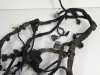 Wire Harness Ducati monster 696