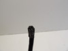 Winker right front Suzuki GSX F 600