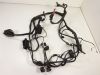 Wire Harness BMW F 800 S - ST