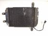 Radiator Suzuki Burgman AN 250