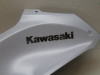 Tankschutz Kawasaki Z 900