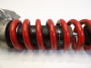 Stossdampfer hinten Triumph Sprint ST 955