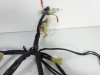 Wire Harness Yamaha FZ6