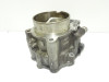 Cilinderblok BMW F 650 GS