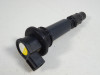 Ignition Coil Triumph Tiger 1050