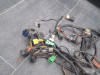 Cableado de motor Suzuki GSF 1200 Bandit