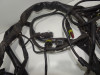Wire Harness Ducati monster 600