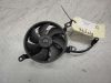 Fan Yamaha YZF R1