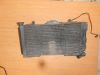 Radiator Honda CBR 600 F