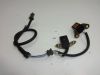 Pickup coil Honda NTV 650