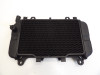 Radiator Kawasaki ZZR 600
