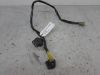 Wire harness front Honda CBR 1000 F