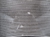 Radiateur BMW F 900 XR
