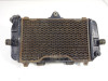 Kuhler Yamaha TDM