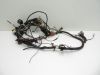 Wire Harness Kawasaki GPZ 900
