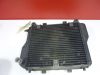 Radiator Kawasaki GPZ 1000