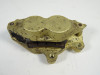 Bremssattel Bremszange vorn links Ducati monster 600