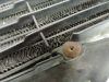 Radiator Honda VFR 400 R