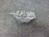 Bremssattel Bremszange vorn links Triumph Sprint ST 955